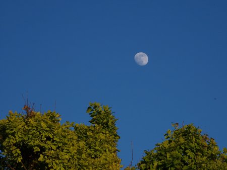 20220513_201624.jpg