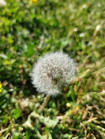20220509_170408.jpg