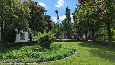 PXL_20220514_130838466.jpg