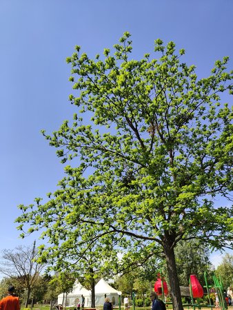 IMG20220514123646.jpg