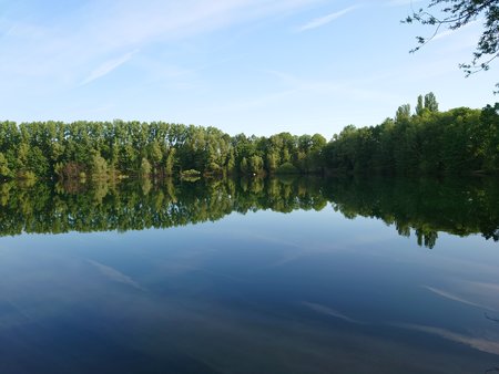 20220515_084853.JPG