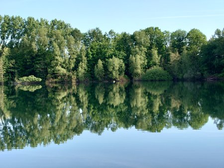 20220515_084848.JPG