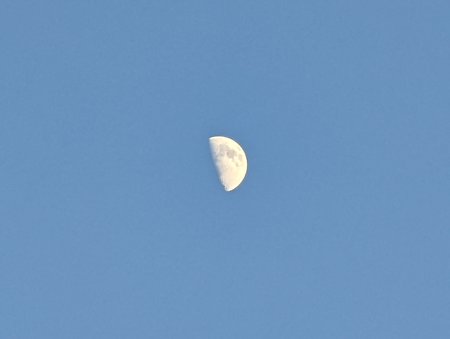 PXL_20220509_183206054.jpg