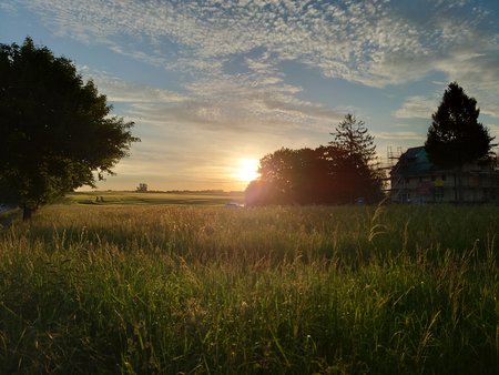 20220516_061946.JPG