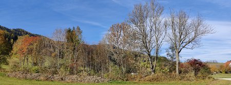 IMG_20211030_112347.jpg