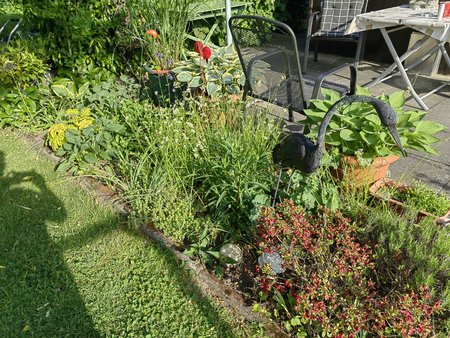 2022-05-20_Ein-Morgen-in-Nachbars-Garten_11.jpg