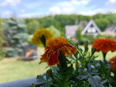 IMG20220521141447.jpg