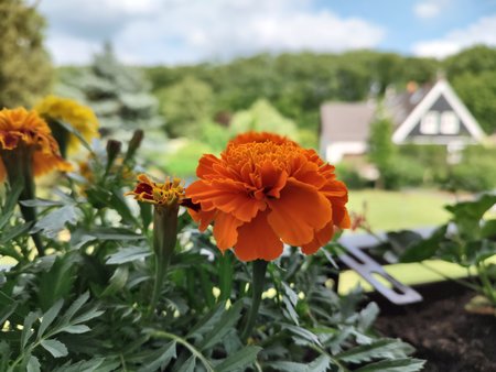 IMG_20220521_162750374_HDR.jpg