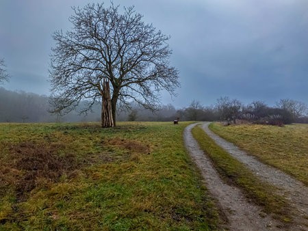 20220115_080515-Bearbeitet.jpg