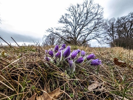 20220318_083026-Bearbeitet.jpg