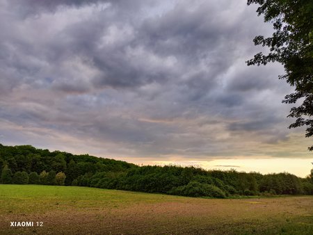 IMG_20220524_195857.jpg