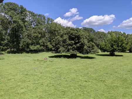 PXL_20220525_123013881.jpg