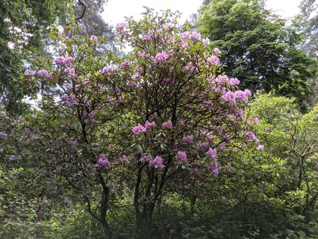 PXL_20220525_115802214.jpg
