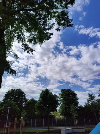 IMG20220526154001.jpg