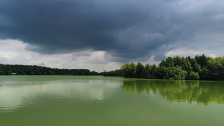 IMG_20220526_123545.jpg