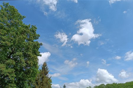 IMG20220521141059-01.jpeg.jpg