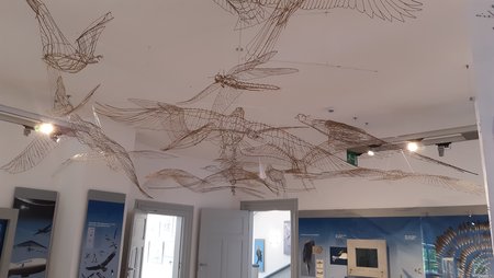 20220529_135043.jpg