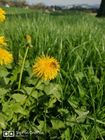 IMG_20220415_170335_Bokeh.jpg