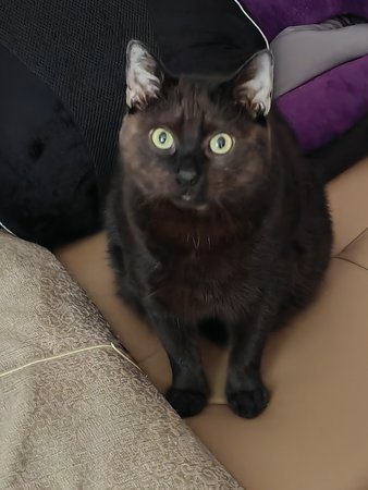 Opti-Zoom 3fach.jpg