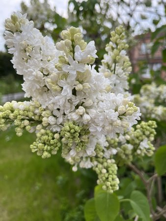 860CE7DF-108B-4D09-89C9-1325298D4AEE.jpeg