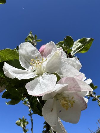 2B9FDE4D-528D-4706-B99C-46604777A880.jpeg