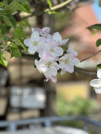 9F8EA31B-B377-4F6D-AD94-7DA3272D0E11.jpeg