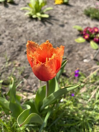 2699C48C-AB38-4079-AF17-16A3207BA684.jpeg
