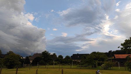 IMG_20220601_203847.jpg
