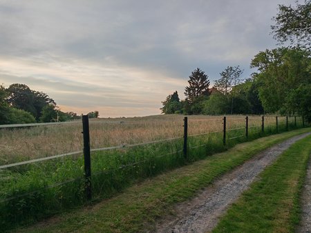 IMG_20220603_204518.jpg