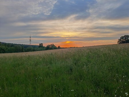 IMG_20220603_205545.jpg