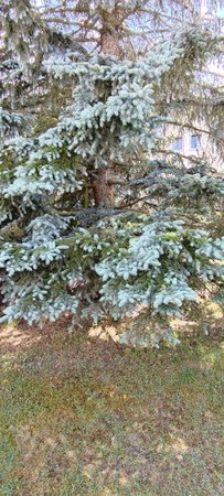 IMG_20220606_170209.jpg
