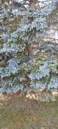 IMG_20220606_170254.jpg