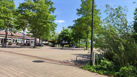 IMG_20220511_125046.jpg