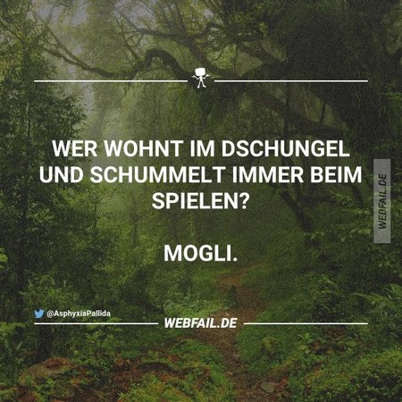 dschuschum.jpg