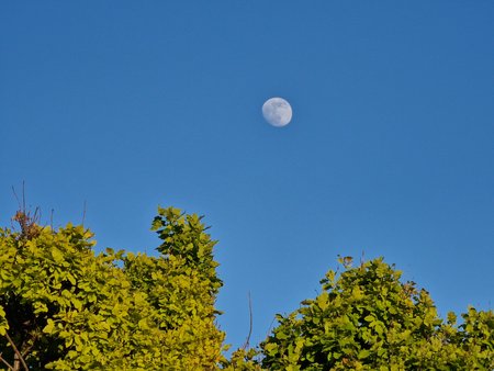 20220513_201507.jpg