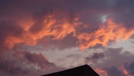 20220609_211754.JPG