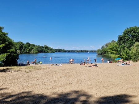 20220610_145454.jpg