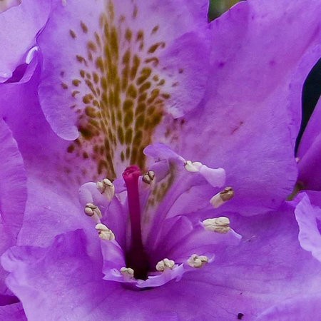 20220525_100047_crop.jpg