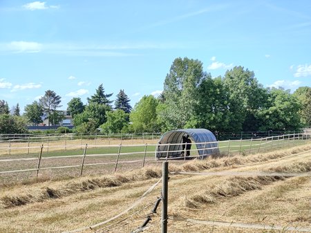 IMG20220612164537.jpg