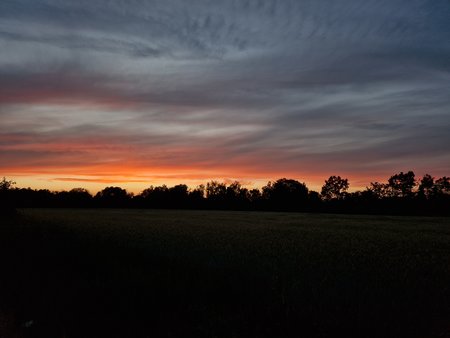20220612_214619.jpg