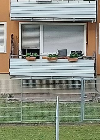 20220613_183849.jpg