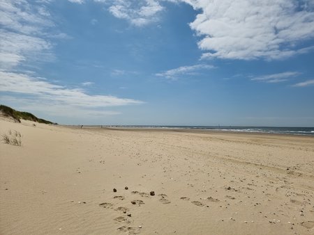 20220614_140340.jpg