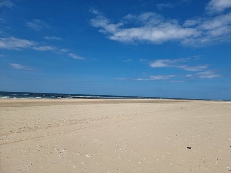 20220614_140335.jpg