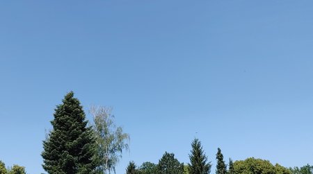 18.6.2022b.jpg