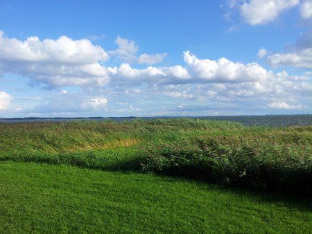 20120826_175551.jpg