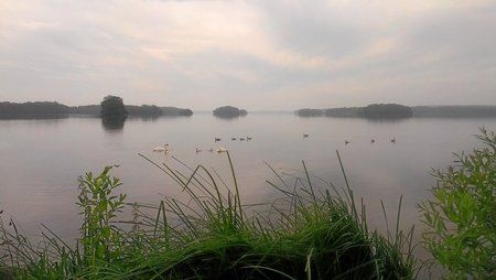 Plöner See.jpg