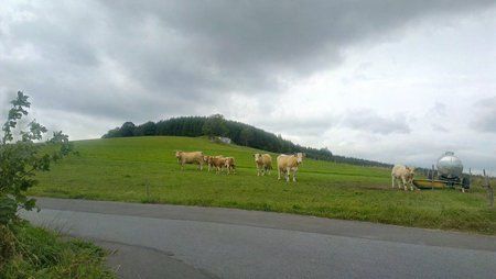 2012-09-14 11.38.18.jpg