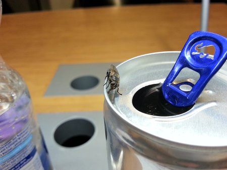 20120914_203404.jpg