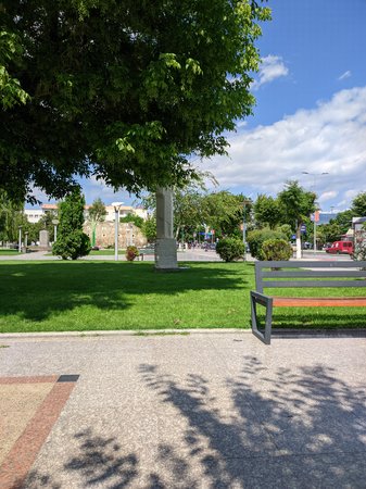 PXL_20220620_145532313.jpg