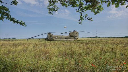 20180606_103256.jpg